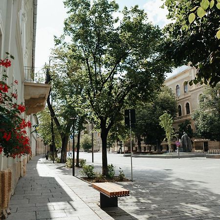 Contessa Apartment Cluj Napoca エクステリア 写真