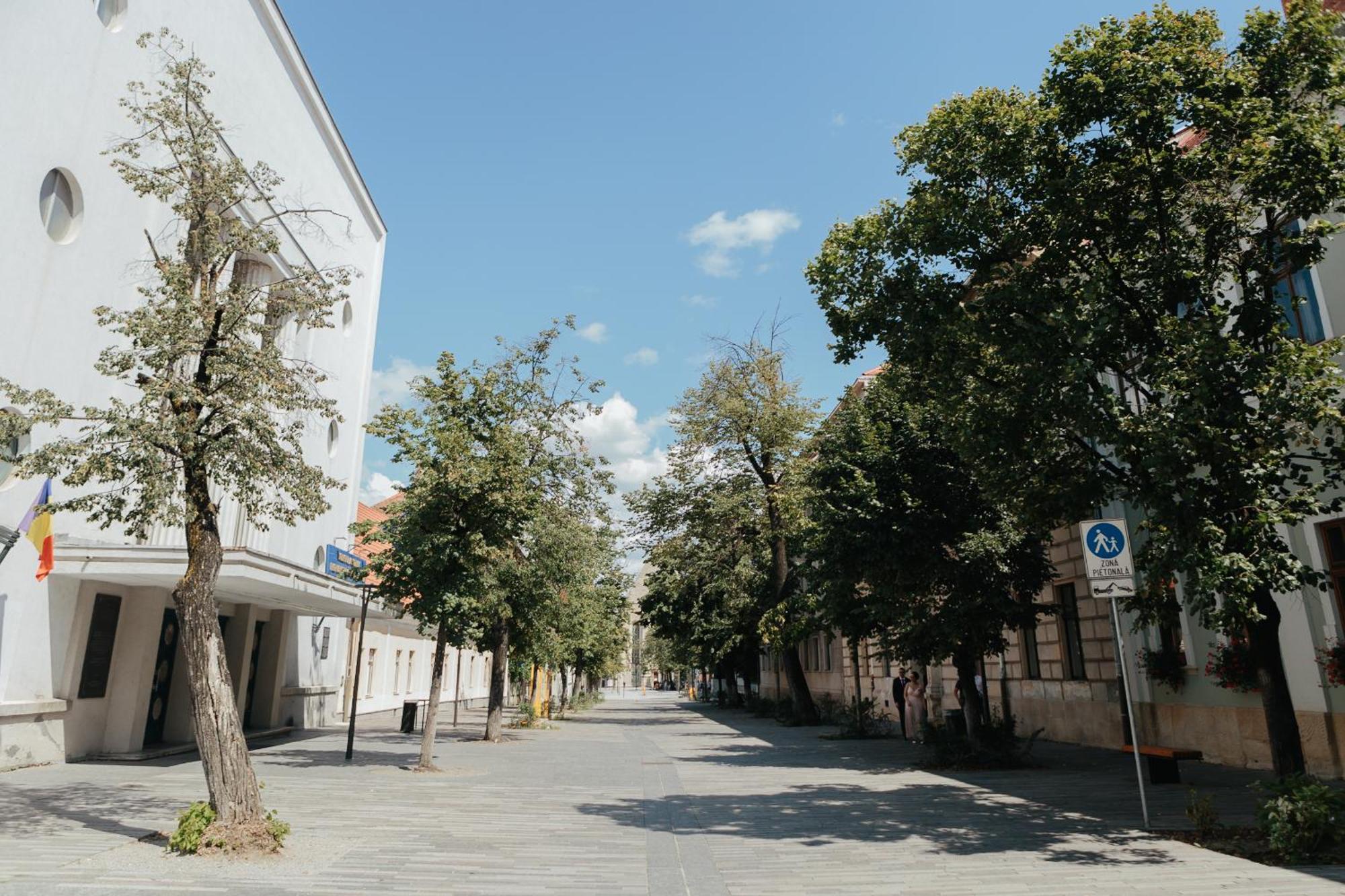 Contessa Apartment Cluj Napoca エクステリア 写真