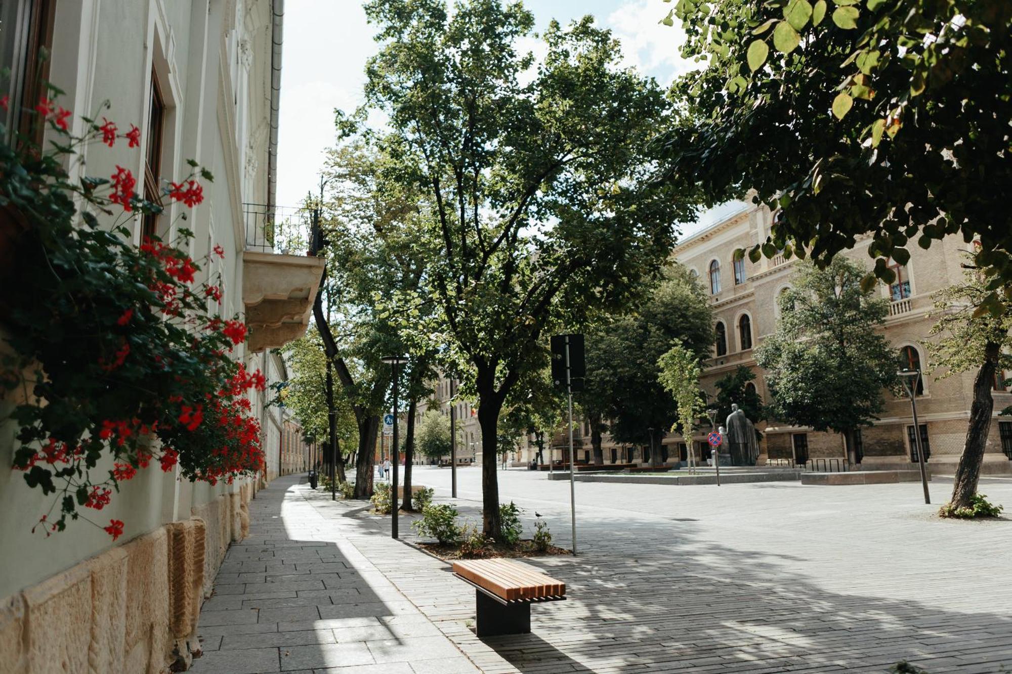 Contessa Apartment Cluj Napoca エクステリア 写真