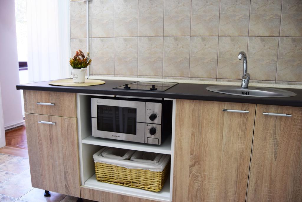 Contessa Apartment Cluj Napoca エクステリア 写真