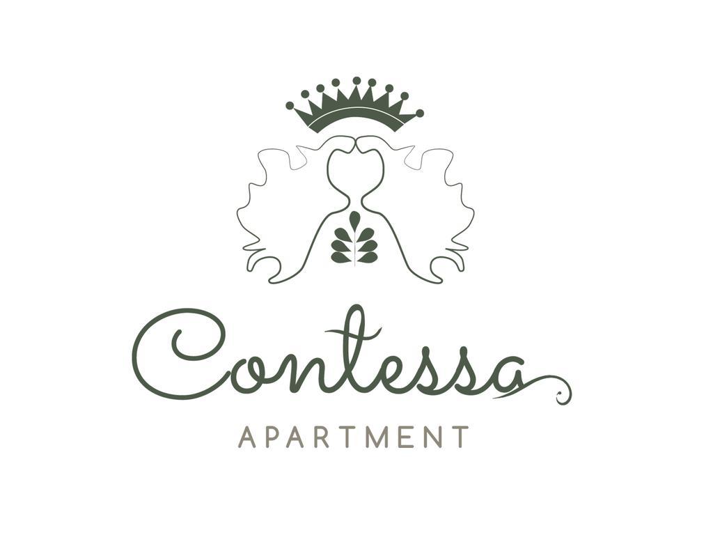 Contessa Apartment Cluj Napoca エクステリア 写真