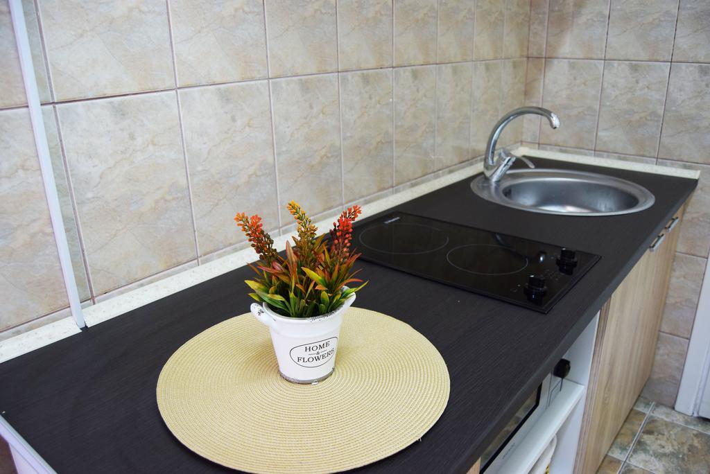 Contessa Apartment Cluj Napoca エクステリア 写真