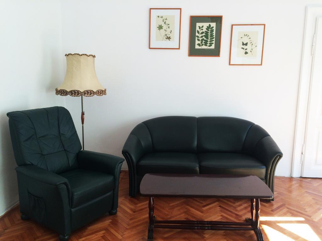 Contessa Apartment Cluj Napoca エクステリア 写真